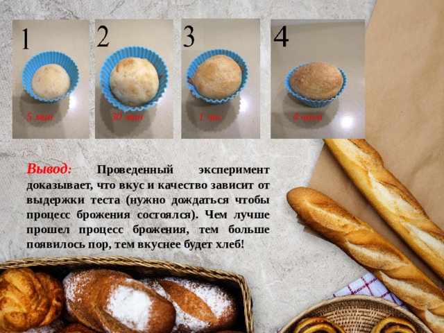 1 час 5 мин 30 мин 4 часа Вывод : Проведенный эксперимент доказывает, что вкус и качество зависит от выдержки теста (нужно дождаться чтобы процесс брожения состоялся). Чем лучше прошел процесс брожения, тем больше появилось пор, тем вкуснее будет хлеб! 