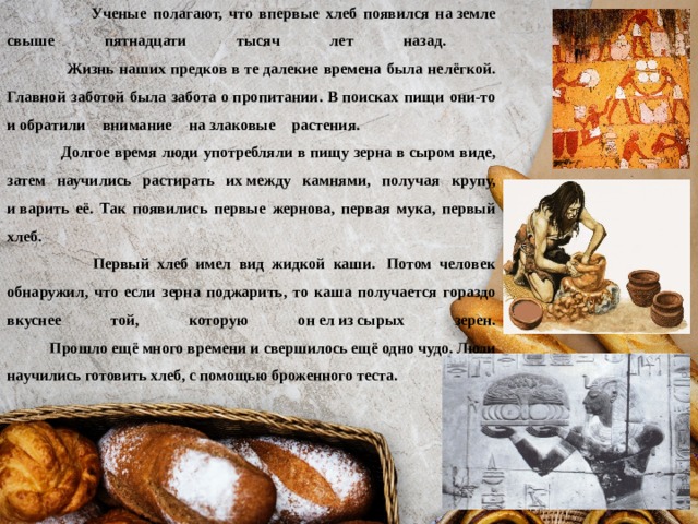  Ученые полагают, что впервые хлеб появился на земле свыше пятнадцати тысяч лет назад.  Жизнь наших предков в те далекие времена была нелёгкой. Главной заботой была забота о пропитании. В поисках пищи они-то и обратили внимание на злаковые растения.  Долгое время люди употребляли в пищу зерна в сыром виде, затем научились растирать их между камнями, получая крупу, и варить её. Так появились первые жернова, первая мука, первый хлеб.  Первый хлеб имел вид жидкой каши.  Потом человек обнаружил, что если зерна поджарить, то каша получается гораздо вкуснее той, которую он ел из сырых зерен.  Прошло ещё много времени и свершилось ещё одно чудо. Люди научились готовить хлеб, с помощью броженного теста. 
