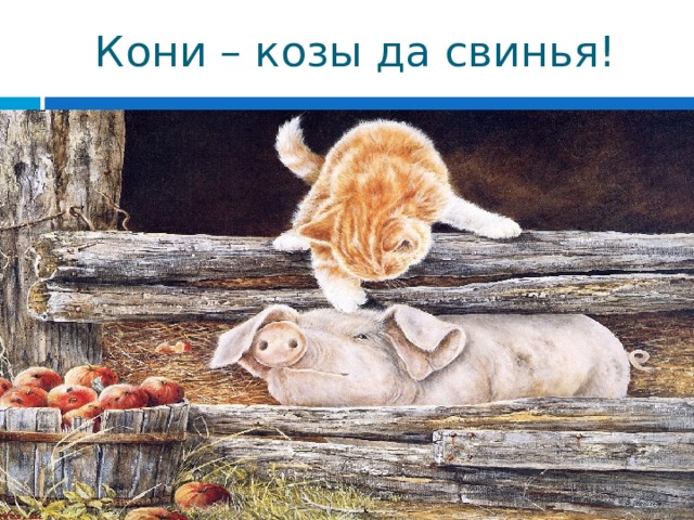 Кони – козы да свинья! 