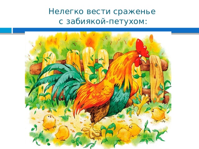Нелегко вести сраженье  с забиякой-петухом: 