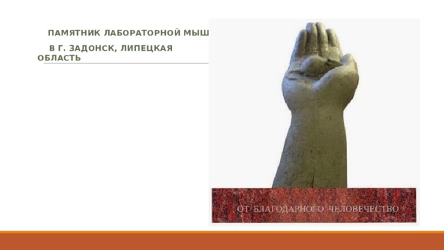  Памятник лабораторной мыши  в г. Задонск, Липецкая область 
