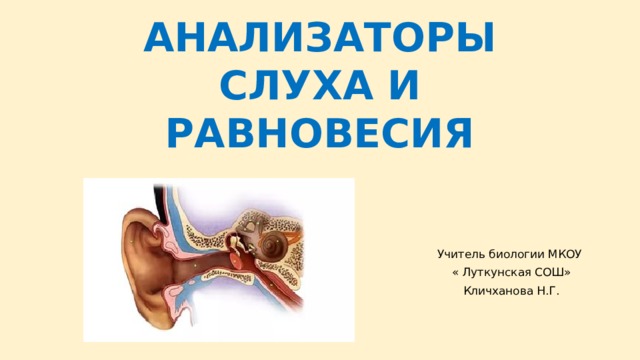 АНАЛИЗАТОРЫ СЛУХА И РАВНОВЕСИЯ Учитель биологии МКОУ « Луткунская СОШ» Кличханова Н.Г. 