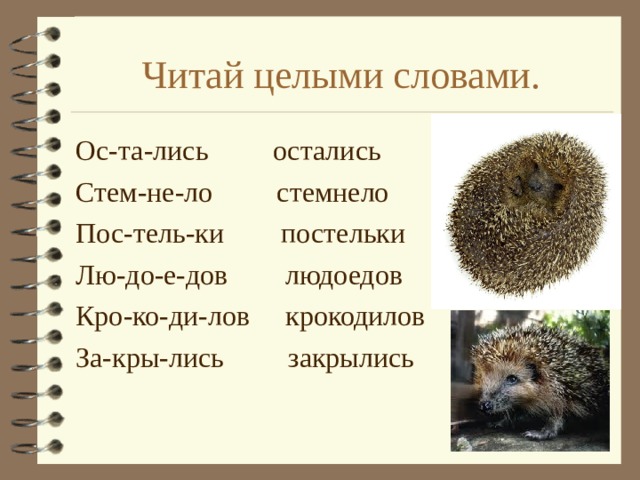 Читай целыми словами. Ос-та-лись остались Стем-не-ло стемнело Пос-тель-ки постельки Лю-до-е-дов людоедов Кро-ко-ди-лов крокодилов За-кры-лись закрылись 