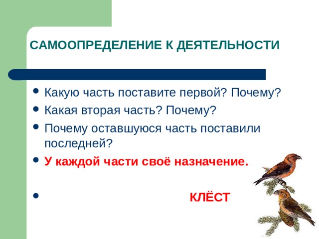 САМООПРЕДЕЛЕНИЕ К ДЕЯТЕЛЬНОСТИ У каждой части своё назначение.   КЛЁСТ 