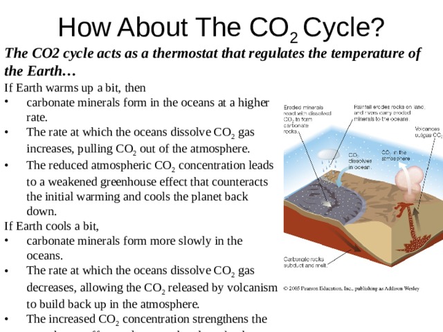How About The CO 2 Cycle? The CO2 cycle acts as a thermostat that regulates the temperature of the Earth… If Earth warms up a bit, then carbonate minerals form in the oceans at a higher rate. The rate at which the oceans dissolve CO 2 gas increases, pulling CO 2 out of the atmosphere. The reduced atmospheric CO 2 concentration leads to a weakened greenhouse effect that counteracts the initial warming and cools the planet back down. If Earth cools a bit, carbonate minerals form more slowly in the oceans. The rate at which the oceans dissolve CO 2 gas decreases, allowing the CO 2 released by volcanism to build back up in the atmosphere. The increased CO 2 concentration strengthens the greenhouse effect and warms the planet back up 