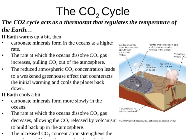 The CO 2 Cycle The CO2 cycle acts as a thermostat that regulates the temperature of the Earth… If Earth warms up a bit, then carbonate minerals form in the oceans at a higher rate. The rate at which the oceans dissolve CO 2 gas increases, pulling CO 2 out of the atmosphere. The reduced atmospheric CO 2 concentration leads to a weakened greenhouse effect that counteracts the initial warming and cools the planet back down. If Earth cools a bit, carbonate minerals form more slowly in the oceans. The rate at which the oceans dissolve CO 2 gas decreases, allowing the CO 2 released by volcanism to build back up in the atmosphere. The increased CO 2 concentration strengthens the greenhouse effect and warms the planet back up 