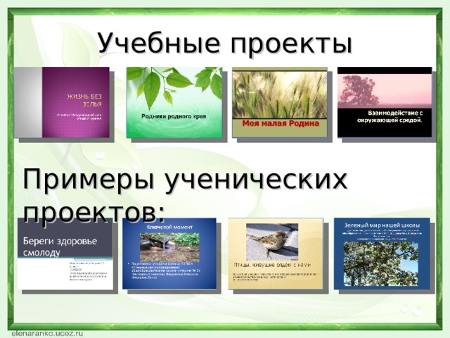 Учебные проекты Примеры ученических проектов:  