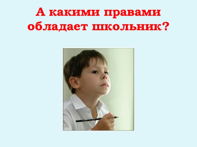 А какими правами обладает школьник?  