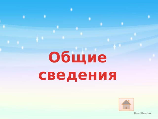 Общие сведения 