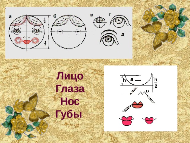 Лицо Глаза Нос Губы 