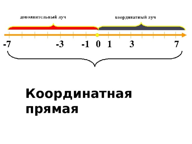 Координатная прямая 