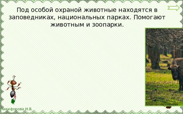 Под особой охраной животные находятся в заповедниках, национальных парках. Помогают животным и зоопарки. 