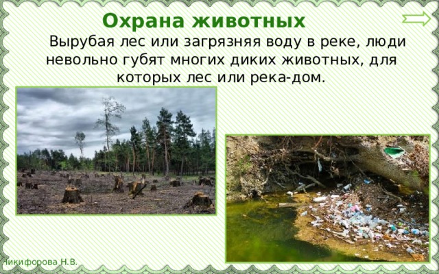 Охрана животных  Вырубая лес или загрязняя воду в реке, люди невольно губят многих диких животных, для которых лес или река-дом. 