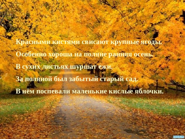 Красными кистями свисают крупные ягоды.  Особенно хороша на поляне ранняя осень.  В сухих листьях шуршат ежи.  За поляной был забытый старый сад.  В нём поспевали маленькие кислые яблочки.   