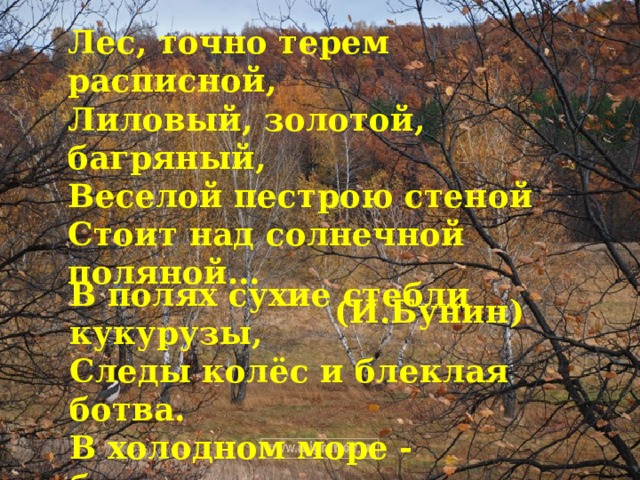 Лес, точно терем расписной, Лиловый, золотой, багряный, Веселой пестрою стеной Стоит над солнечной поляной…  (И.Бунин) В полях сухие стебли кукурузы, Следы колёс и блеклая ботва. В холодном море - бледные медузы И красная подводная трава…  (И.Бунин)  