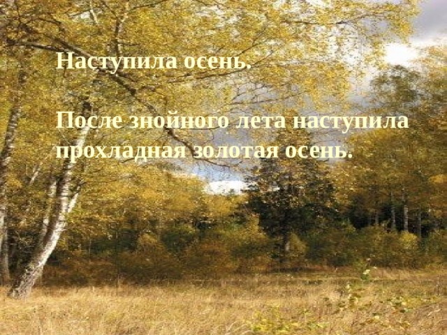 Наступила осень.  После знойного лета наступила прохладная золотая осень. 