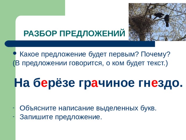 РАЗБОР ПРЕДЛОЖЕНИЙ Какое предложение будет первым? Почему? (В предложении говорится, о ком будет текст.) На б е рёзе гр а чиное гн е здо.  Объясните написание выделенных букв. Запишите предложение. 