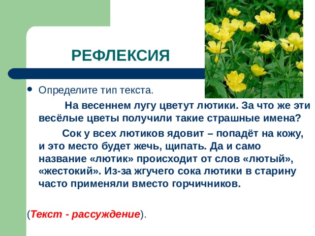 Определите тип текста.  На весеннем лугу цветут лютики. За что же эти весёлые цветы получили такие страшные имена?  Сок у всех лютиков ядовит – попадёт на кожу, и это место будет жечь, щипать. Да и само название «лютик» происходит от слов «лютый», «жестокий». Из-за жгучего сока лютики в старину часто применяли вместо горчичников.  ( Текст - рассуждение ). 