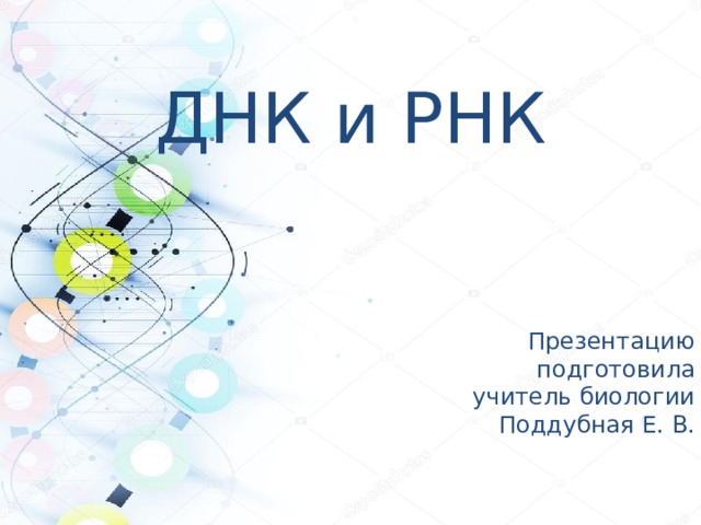 ДНК и РНК Презентацию подготовила учитель биологии Поддубная Е. В. 