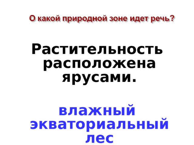 Растительность расположена ярусами.  влажный экваториальный лес 