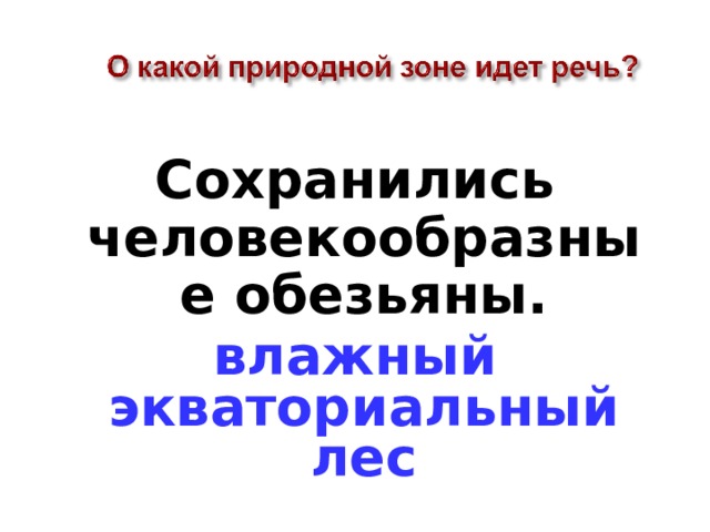 Сохранились человекообразные обезьяны. влажный экваториальный лес 