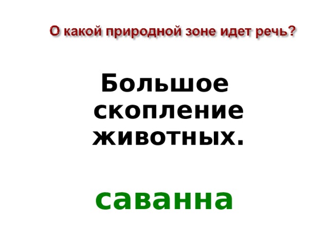 Большое скопление животных.  саванна 