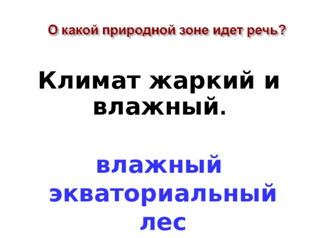 Климат жаркий и влажный .  влажный экваториальный лес 