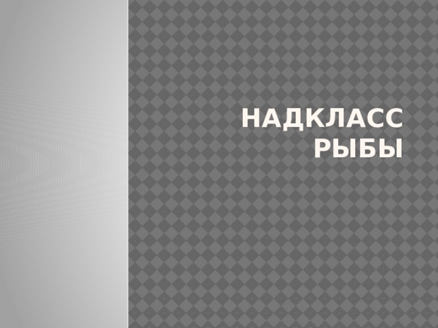 Надкласс рыбы 