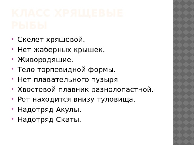 Класс хрящевые рыбы Скелет хрящевой. Нет жаберных крышек. Живородящие. Тело торпевидной формы. Нет плавательного пузыря. Хвостовой плавник разнолопастной. Рот находится внизу туловища. Надотряд Акулы. Надотряд Скаты. 