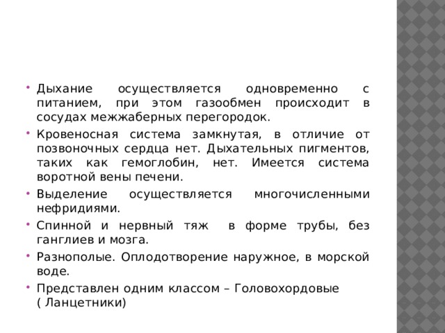 Дыхание осуществляется одновременно с питанием, при этом газообмен происходит в сосудах межжаберных перегородок. Кровеносная система замкнутая, в отличие от позвоночных сердца нет. Дыхательных пигментов, таких как гемоглобин, нет. Имеется система воротной вены печени. Выделение осуществляется многочисленными нефридиями. Спинной и нервный тяж в форме трубы, без ганглиев и мозга. Разнополые. Оплодотворение наружное, в морской воде. Представлен одним классом – Головохордовые ( Ланцетники) 