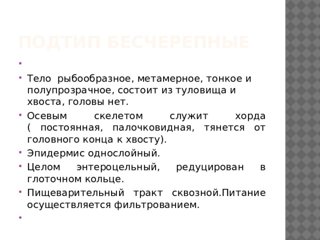 Подтип бесчерепные Тело рыбообразное, метамерное, тонкое и полупрозрачное, состоит из туловища и хвоста, головы нет. Осевым скелетом служит хорда ( постоянная, палочковидная, тянется от головного конца к хвосту). Эпидермис однослойный. Целом энтероцельный, редуцирован в глоточном кольце. Пищеварительный тракт сквозной.Питание осуществляется фильтрованием. 