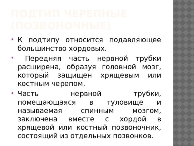 Подтип черепные (позвоночные) К подтипу относится подавляющее большинство хордовых.  Передняя часть нервной трубки расширена, образуя головной мозг, который защищен хрящевым или костным черепом. Часть нервной трубки, помещающаяся в туловище и называемая спинным мозгом, заключена вместе с хордой в хрящевой или костный позвоночник, состоящий из отдельных позвонков. 