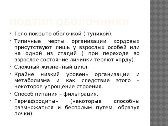 Подтип оболочники Тело покрыто оболочкой ( туникой). Типичные черты организации хордовых присутствуют лишь у взрослых особей или на одной из стадий ( при переходе во взрослое состояние личинки теряют хорду). Сложный жизненный цикл. Крайне низкий уровень организации и метаболизма и как следствие этого – некоторое упрощение строения. Способ питания – фильтрация. Гермафродиты– (некоторые способны размножаться и бесполым путем, образуя почки). 