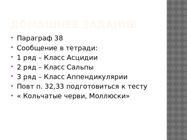 Домашнее задание Параграф 38 Сообщение в тетради: 1 ряд – Класс Асцидии 2 ряд – Класс Сальпы 3 ряд – Класс Аппендикулярии Повт п. 32,33 подготовиться к тесту « Кольчатые черви, Моллюски» 