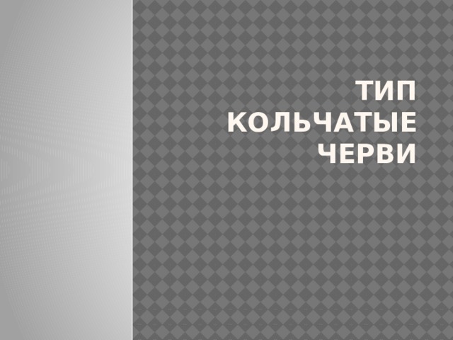 Тип Кольчатые черви 