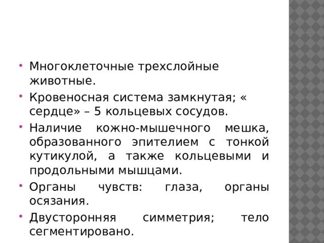 Многоклеточные трехслойные животные. Кровеносная система замкнутая; « сердце» – 5 кольцевых сосудов. Наличие кожно-мышечного мешка, образованного эпителием с тонкой кутикулой, а также кольцевыми и продольными мышцами. Органы чувств: глаза, органы осязания. Двусторонняя симметрия; тело сегментировано. Органы выделения – метанефридии. 