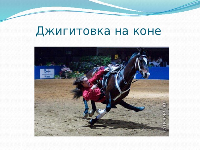  Джигитовка на коне 