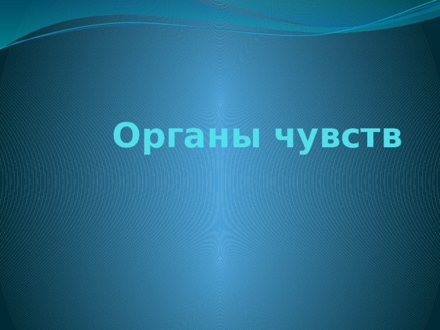 Органы чувств 