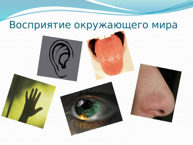Восприятие окружающего мира 