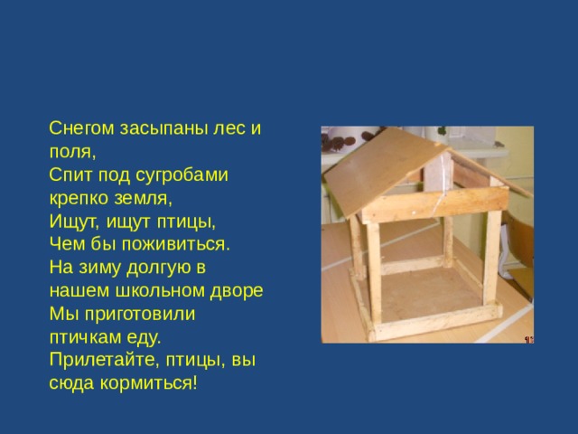 Снегом засыпаны лес и поля, Спит под сугробами крепко земля, Ищут, ищут птицы, Чем бы поживиться. На зиму долгую в нашем  школьном дворе Мы приготовили птичкам еду. Прилетайте, птицы, вы сюда кормиться! 