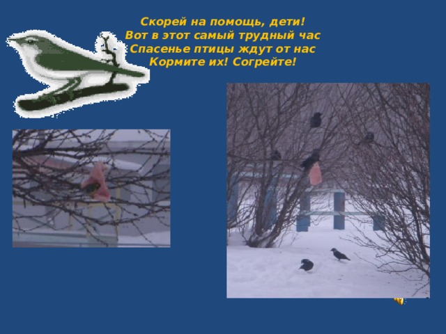 Скорей на помощь, дети!  Вот в этот самый трудный час  Спасенье птицы ждут от нас  Кормите их! Согрейте! 