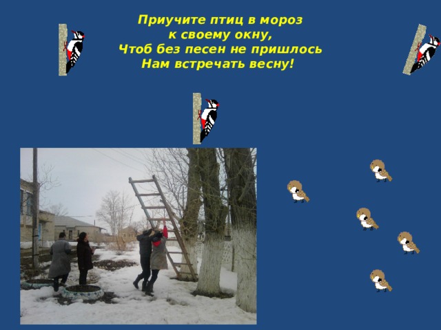 Приучите птиц в мороз  к своему окну,  Чтоб без песен не пришлось  Нам встречать весну! 