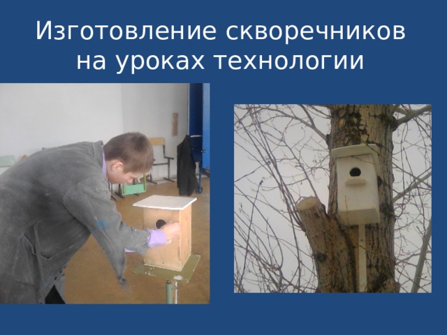 Изготовление скворечников на уроках технологии 