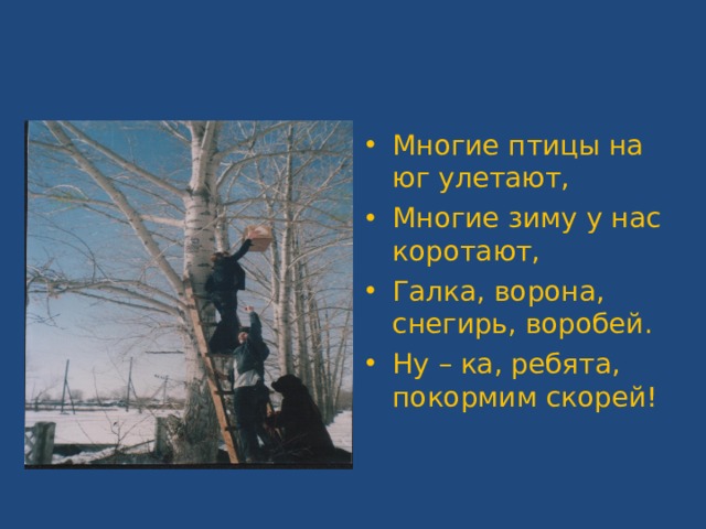 Многие птицы на юг улетают, Многие зиму у нас коротают, Галка, ворона, снегирь, воробей. Ну – ка, ребята, покормим скорей!  