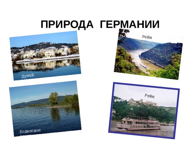 Дунай  Рейн Боденское озеро Рейн Природа Германии 