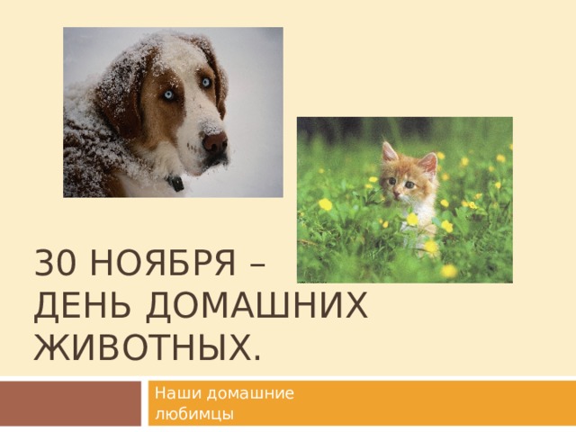 30 НОЯБРЯ –  ДЕНЬ ДОМАШНИХ ЖИВОТНЫХ. Наши домашние любимцы 