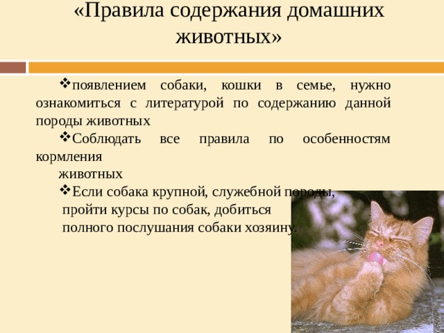 «Правила содержания домашних животных»   появлением собаки, кошки в семье, нужно ознакомиться с литературой по содержанию данной породы животных Соблюдать все правила по особенностям кормления животных Если собака крупной, служебной породы,  пройти курсы по собак, добиться  полного послушания собаки хозяину. 