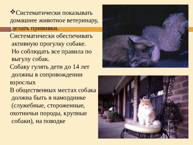 Систематически показывать  домашнее животное ветеринару,  делать прививки.  Систематически обеспечивать  активную прогулку собаке.  Но соблюдать все правила по  выгулу собак.  Собаку гулять дети до 14 лет  должны в сопровождении  взрослых  В общественных местах собака  должна быть в наморднике  (служебные, стороженные,  охотничьи породы, крупные  собаки), на поводке   