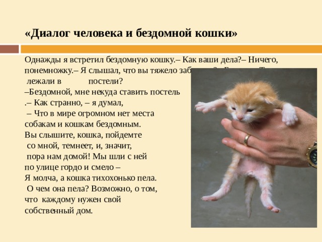 «Диалог человека и бездомной кошки»   Однажды я встретил бездомную кошку.– Как ваши дела?– Ничего, понемножку.– Я слышал, что вы тяжело заболели?– Болела.– Так значит,  лежали в постели?  –Бездомной, мне некуда ставить постель  .– Как странно, – я думал,  – Что в мире огромном нет места  собакам и кошкам бездомным.  Вы слышите, кошка, пойдемте  со мной, темнеет, и, значит,  пора нам домой! Мы шли с ней  по улице гордо и смело –  Я молча, а кошка тихохонько пела.  О чем она пела? Возможно, о том,  что каждому нужен свой  собственный дом.    