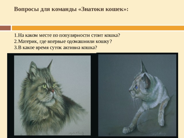 Вопросы для команды «Знатоки кошек»:     1.На каком месте по популярности стоит кошка?  2.Материк, где впервые одомашнили кошку?  3.В какое время суток активна кошка? 